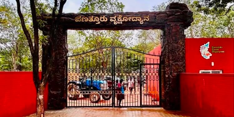 Bengaluru gets 45-acre urban forest at Panathur; more large parks planned: Minister Ramalinga Reddy
