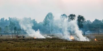 404 incidents of stubble burning recorded in Punjab; FIR registered in 39