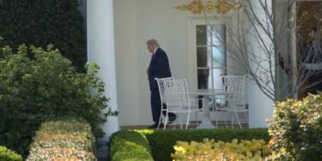 ‘Be gentler, but be hard and firm’: North Dakota farmer’s message to Trump ahead of midterms