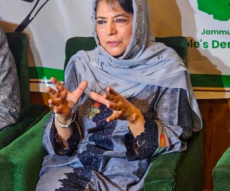 Mehbooba Mufti says 14,000 cases against youth were withdrawn during PDP-BJP rule in J&K