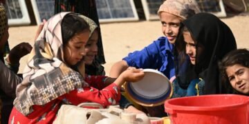 Nearly 16 million people face acute food insecurity in Afghanistan: UN