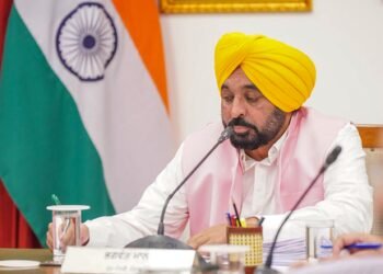 ED letters to Punjab DGP: Mann govt moves SC against HC-ordered CBI probe