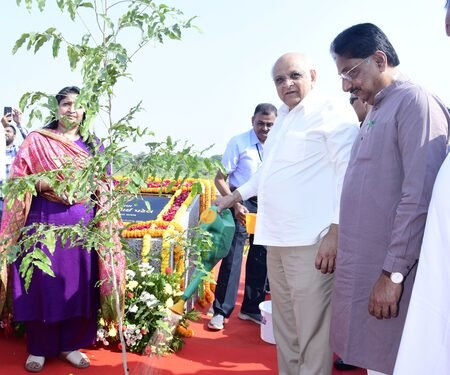 Ahmedabad civic body completes 50-lakh tree plantation target; CM Patel joins drive