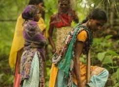 How Gujarat tribal village revived its forests, inspired 65 others