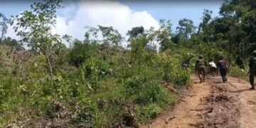 Three killed, several injured, three missing in separate incidents in Manipur (Lead)