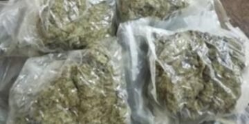 Mexican cartels eye India expansion, turn rented homes into local drug production units