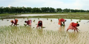 Climate change, its impact on cultivation key focus of symposium in Shimla