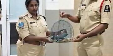 Hyderabad Police rescues 4 Indian Rollers caged during Dussehra due to old superstition