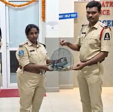 Hyderabad Police rescues 4 Indian Rollers caged during Dussehra due to old superstition