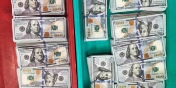CISF seizes foreign currency worth Rs 1.13 crore at Kolkata airport