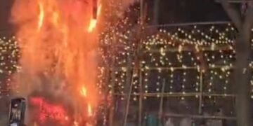 Cockroach effigy burnt alongside Ravana in Assam