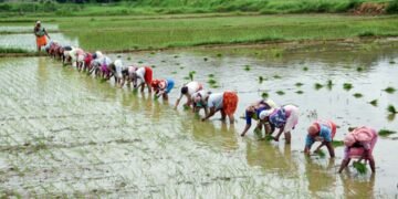 Centre to launch nationwide ‘Khet Bachao Abhiyan’ for sustainable farming practices