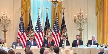 FBI chief Kash Patel says $17 bn seized as US widens war on foreign scam centres