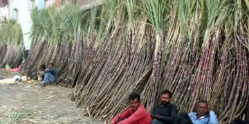 Maharashtra ethanol industry faces crisis over Centre’s procurement curbs