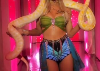 Paris Hilton recreates Britney Spears’ iconic 2001 VMA moment posing with faux python