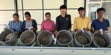Kerala’s national fisheries institute supplies one million mussel seeds to Maharashtra