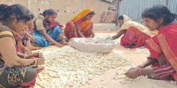 Purnia traders hail PM Modi’s inspiring words on makhana, say youth getting drawn towards cultivation