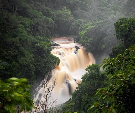 TN: Moyar River floods cut off Nilgiris village as heavy rain triggers landslides