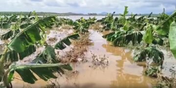 Heavy rain disrupts life across TN; flooding, power cuts hit several districts