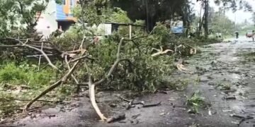 As Cyclone ‘Arnab’ turns severe, South Central Railway cancels 11 trains