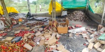 MP: ‘Carbide Guns’, illegal firecrackers banned ahead of Diwali