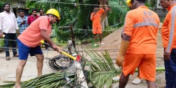 Cyclone Arnab claims four lives, leaves trail of destruction in coastal Andhra (Roundup)
