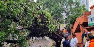 HM Shah speaks to CMs of Andhra, Odisha; assures all assistance to states affected by Cyclone Arnab