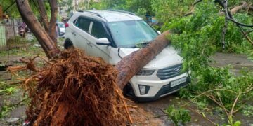 Cyclone Arnab claimed 7 lives in Andhra, losses estimated at Rs 4,600 crore