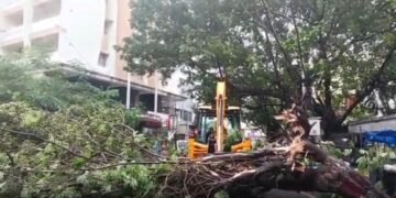 Cyclone ‘Arnab’ makes landfall, heavy rain lashes coastal Andhra