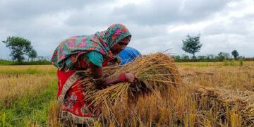 Temperature drops as Cyclone Arnab brings rain in Rajasthan