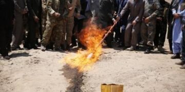 Police burn nearly one tonne of illegal drugs in Afghanistan’s Farah