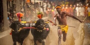 Coastal Karnataka’s Kambala Makes Debut at Mysuru Dasara