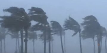 Cyclone Arnab: Andhra CM Reviews Situation, 33,000 Coconut Trees Uprooted in Konaseema