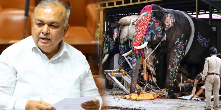 Karnataka Minister Orders Strict Guidelines for Use of Elephants in Public Events