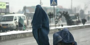 Curbs on female aid workers continue to hamper humanitarian access in Afghanistan: UN