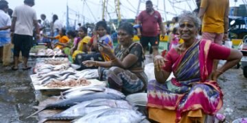 India targets 30 million tonnes of annual fish production in five years: Fisheries Secretary